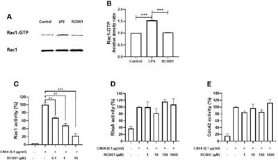 Investigating the Anti-Inflammatory Effects of RCI001 for Treating Ocular Surface Diseases: Insight Into the Mechanism of Action